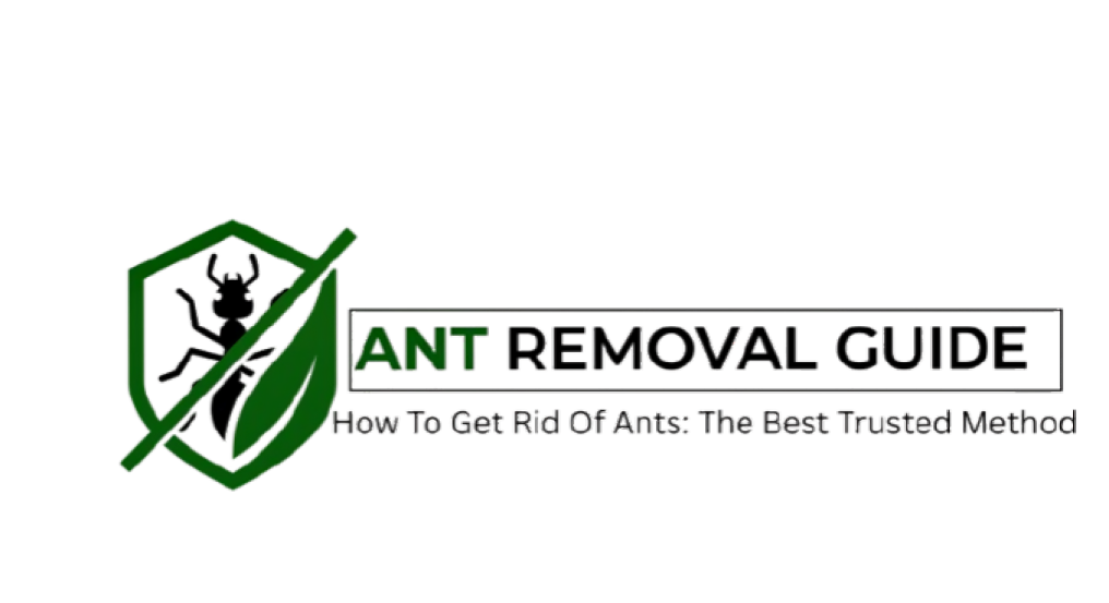 Ant Removal Guide